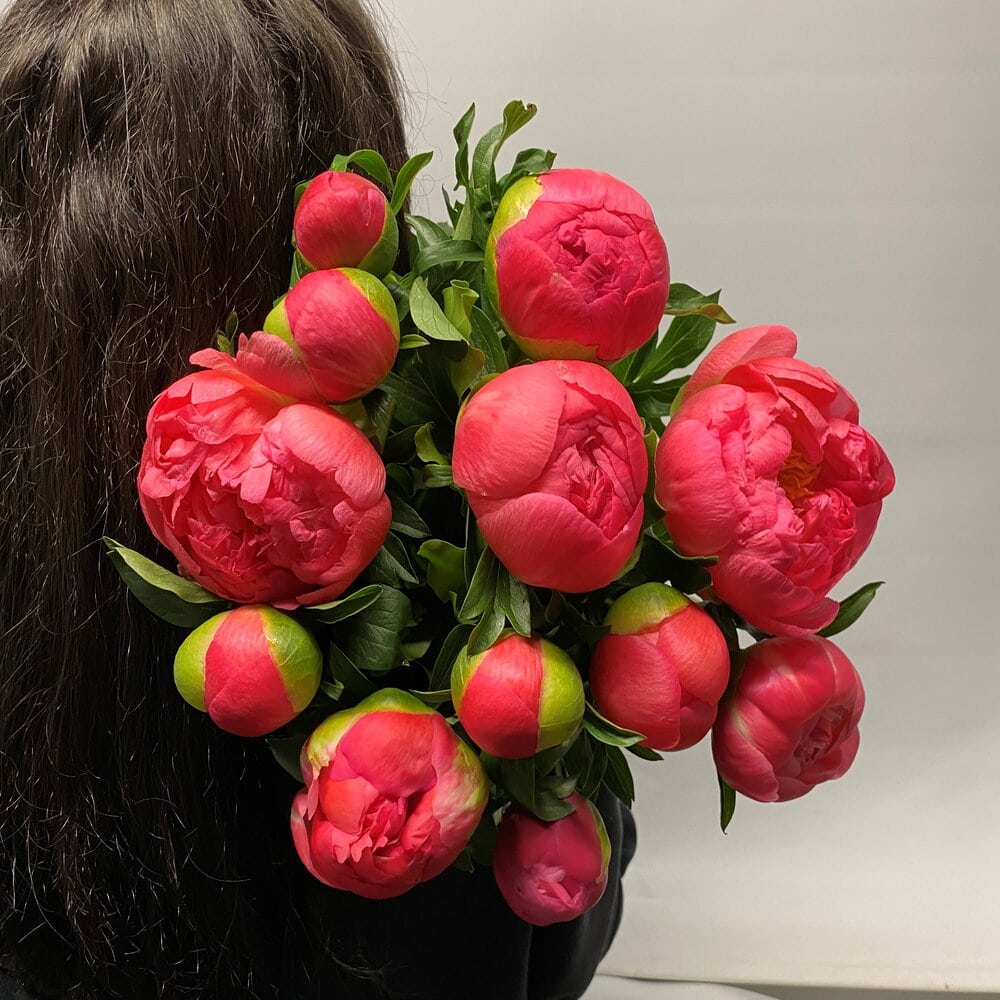 Peony roses - Peaonies. Everbloom Floral Studio your Mount Maunganui and Papamoa Florist